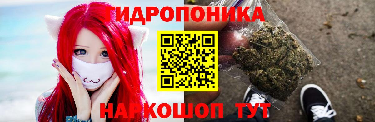 Каменск-Уральский  Шишки марихуана Amnesia  Конопля LSD WEED  Вход с VPN  Конопля OG Kush  МАРИХУАНА план 